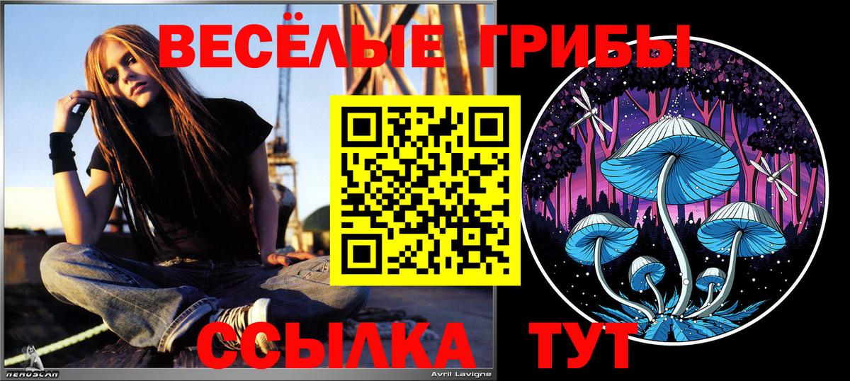 Псилоцибиновые грибы мицелий Новошахтинск