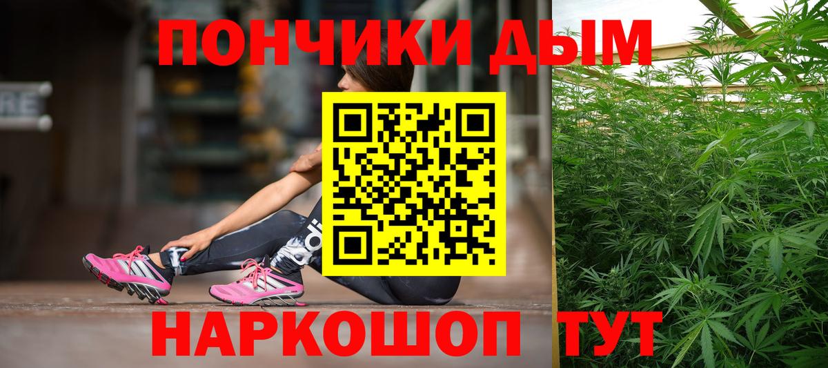 Бошки Шишки планчик  Вход с VPN  Новошахтинск  Бошки марихуана семена  Бошки Шишки конопля 